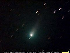 （橋岡由男氏撮影のリニア彗星の写真）