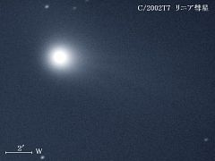 （茂木弘光氏撮影のリニア彗星の写真）