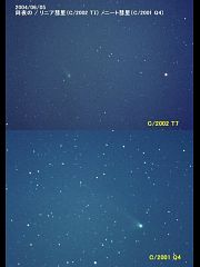 （葛井昭彦氏撮影のリニア彗星とニート彗星の写真）