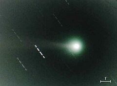 （せんだい宇宙館 早水勉氏撮影の2月20日の池谷・張彗星の写真）