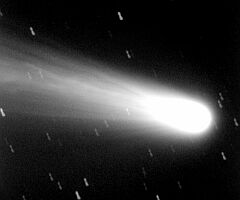 （佐野康男氏撮影の3月8日の池谷・張彗星の写真）