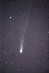 （藤井恒徳氏撮影の3月9日の池谷・張彗星の写真）