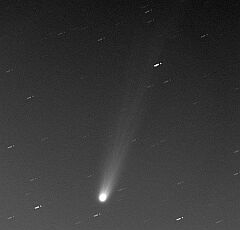 （近藤弘之氏撮影の3月9日の池谷・張彗星の写真）