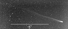 （田中一幸氏撮影の3月9日の池谷・張彗星の写真 2）