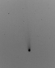 （江上勝典氏撮影の3月11日の池谷・張彗星の写真）