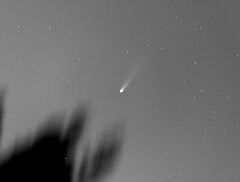 （伊藤明彦氏撮影の3月11日の池谷・張彗星の写真）