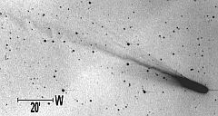 （那賀川町科学センター撮影の3月11日の池谷・張彗星の写真 2）