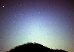 （竹下育男氏撮影の3月11日の池谷・張彗星の写真）