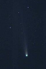 （横田富美夫氏撮影の3月11日の池谷・張彗星の写真）
