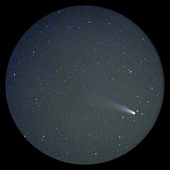 （野田司氏撮影の3月12日の池谷・張彗星の写真）