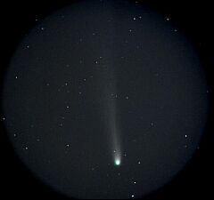 （北野宏治氏撮影の3月13日の池谷・張彗星の写真）