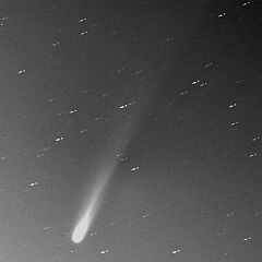 （近藤弘之氏撮影の3月13日の池谷・張彗星の写真）