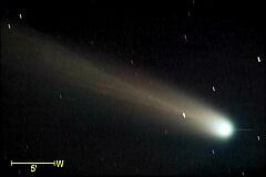 （那賀川町科学センター撮影の3月13日の池谷・張彗星の写真 1）