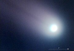（大島修氏撮影の3月15日の池谷・張彗星の写真）