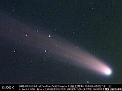 （木村喬氏撮影の3月16日の池谷・張彗星の写真）