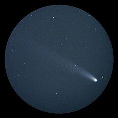 （野田司氏撮影の3月16日の池谷・張彗星の写真）