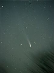 （館山一氏撮影の3月18日の池谷・張彗星の写真）
