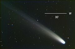（田中一幸氏撮影の3月19日の池谷・張彗星の写真）