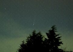 （丸山敏章氏撮影の3月23日の池谷・張彗星の写真）