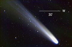 （田中一幸氏撮影の3月23日の池谷・張彗星の写真）