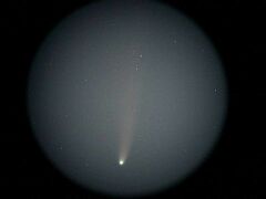 （廣田康幸氏撮影の3月25日の池谷・張彗星の写真）