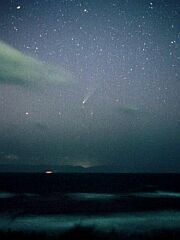 （小貫良行氏撮影の4月4日の池谷・張彗星の写真）