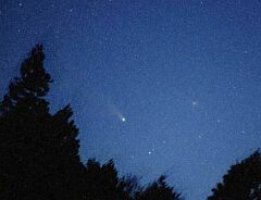 （山田由雄氏撮影の4月5日の池谷・張彗星の写真）