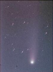 （安藤也義氏撮影の4月6日の池谷・張彗星の写真）