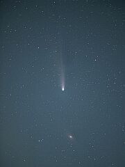 （久保庭敦男氏撮影の4月6日の池谷・張彗星の写真）