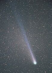 （志水健一郎氏撮影の4月13日の池谷・張彗星の写真）