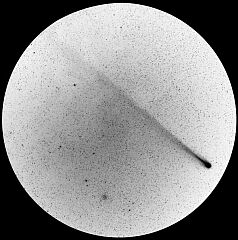 （及川聖彦氏撮影の4月14日の池谷・張彗星の写真）