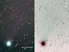 （甲斐雅一氏撮影の5月2日の池谷・張彗星の写真）