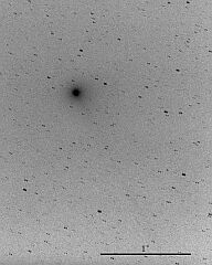 （横山満氏撮影の5月12日の池谷・張彗星の写真）