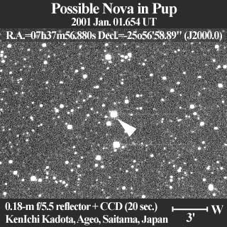 Possible Nova in Pup