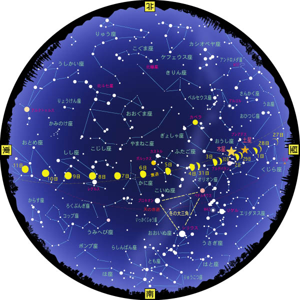 全天星図