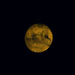 10月5日の火星