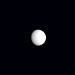 11月15日の金星