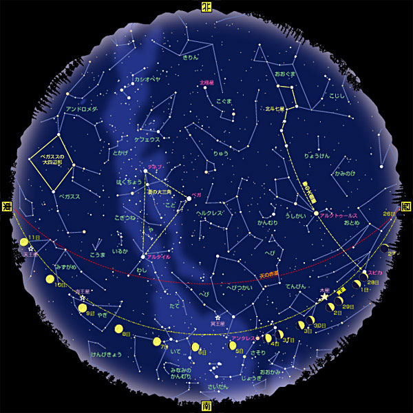 全天星図