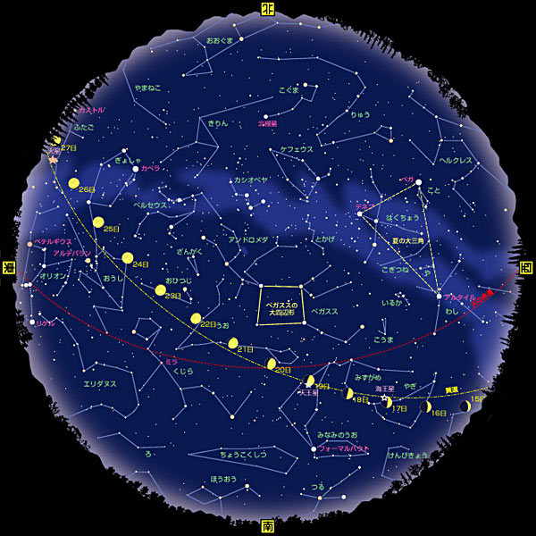 全天星図