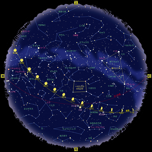 全天星図