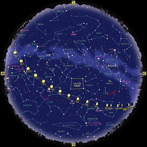 全天星図