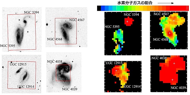 相互作用銀河における水素分子ガスの空間分布 相互作用銀河における水素分子ガスの空間分布