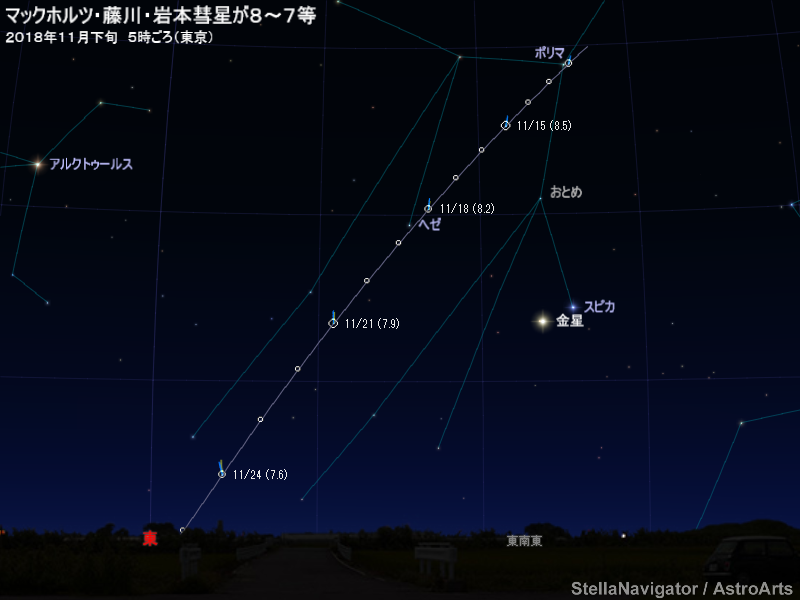 11月中旬から下旬ごろの見え方