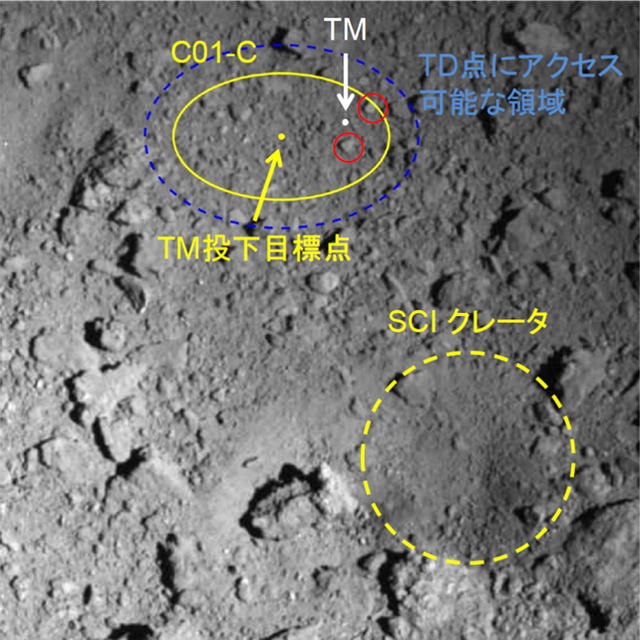 PPTD-TM1Aの結果 PPTD-TM1Aの結果