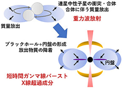 連星中性子星の衝突・合体で重力波とショートガンマ線バースト、X線超過が生じる様子 連星中性子星の衝突・合体で重力波とショートガンマ線バースト、X線超過が生じる様子