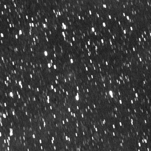 門田さん撮影の岩本彗星 門田さん撮影の岩本彗星