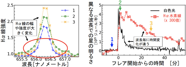 フレア中のHα水素線の時間変化と波長毎の明るさの時間変化 フレア中のHα水素線の時間変化と波長毎の明るさの時間変化