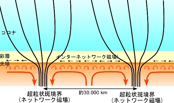 磁場構造の模式図 磁場構造の模式図