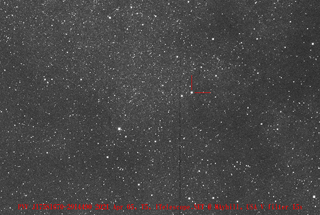 確認画像 確認画像