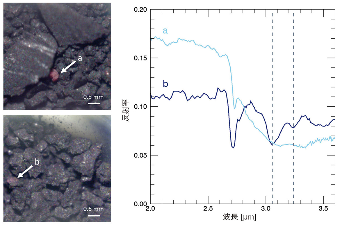 水酸化塩 水酸化塩